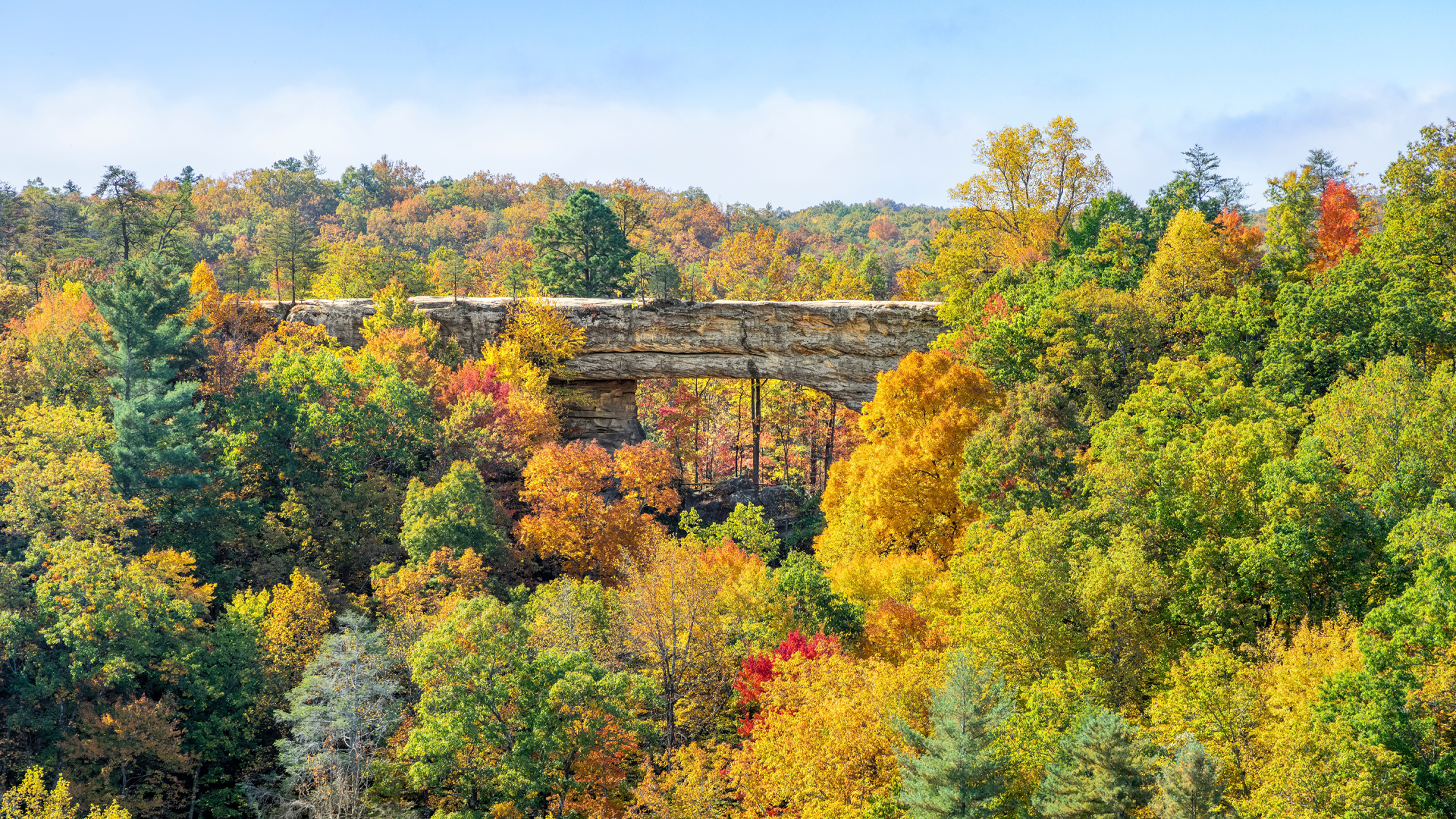 Fall Leaves in the Gorge Kentucky's beautiful autumn colors