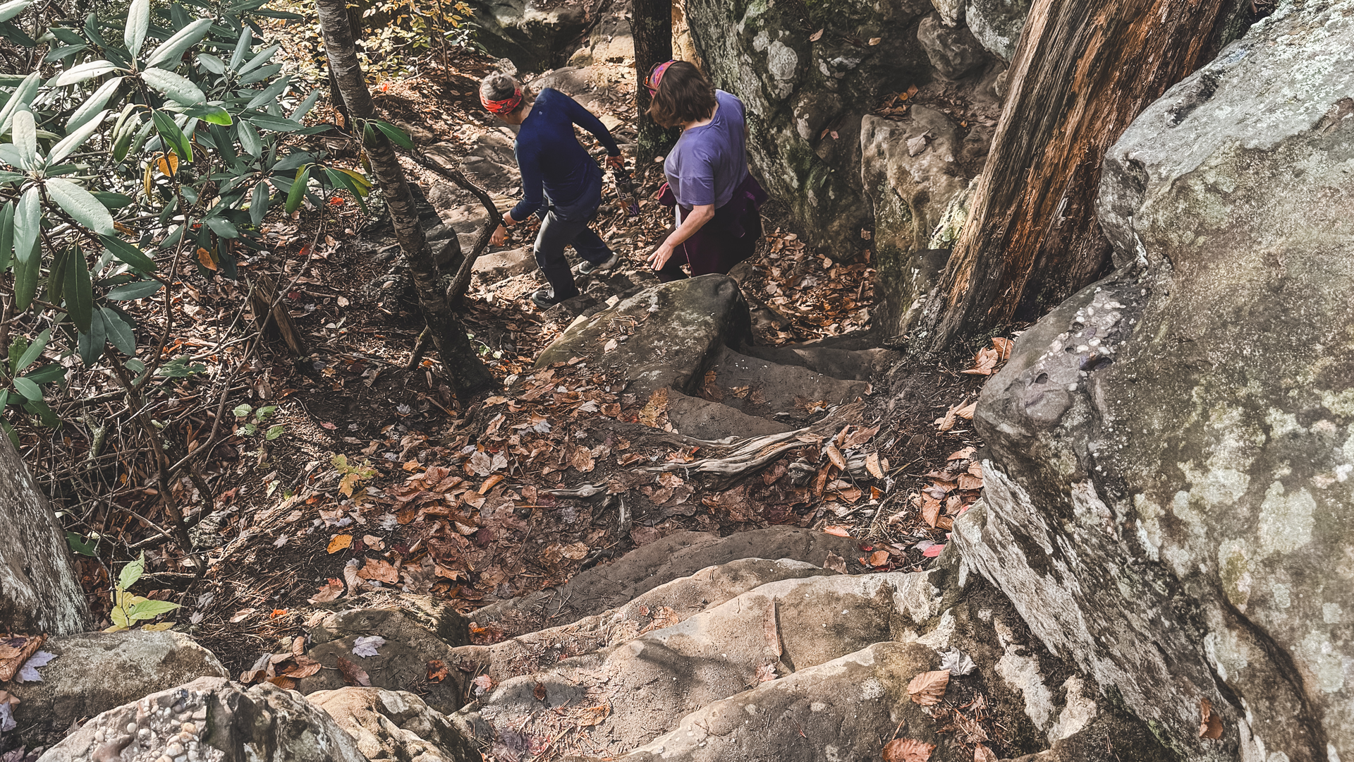 Steep stairs on the hike down from the Natural Bridge.