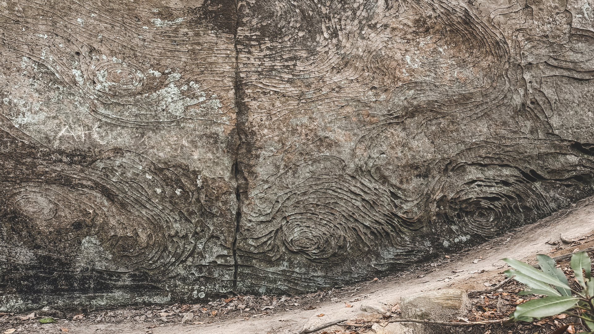The cliff wall etched in swirl patterns.