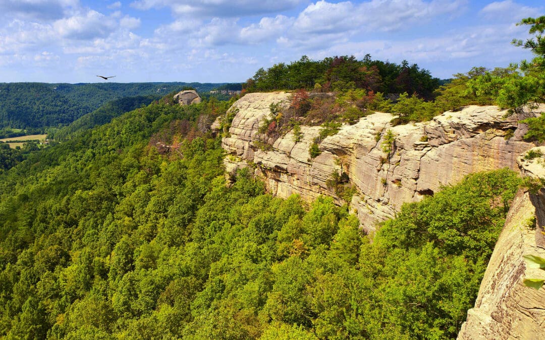 Protect Our Environment, Save The Gorge