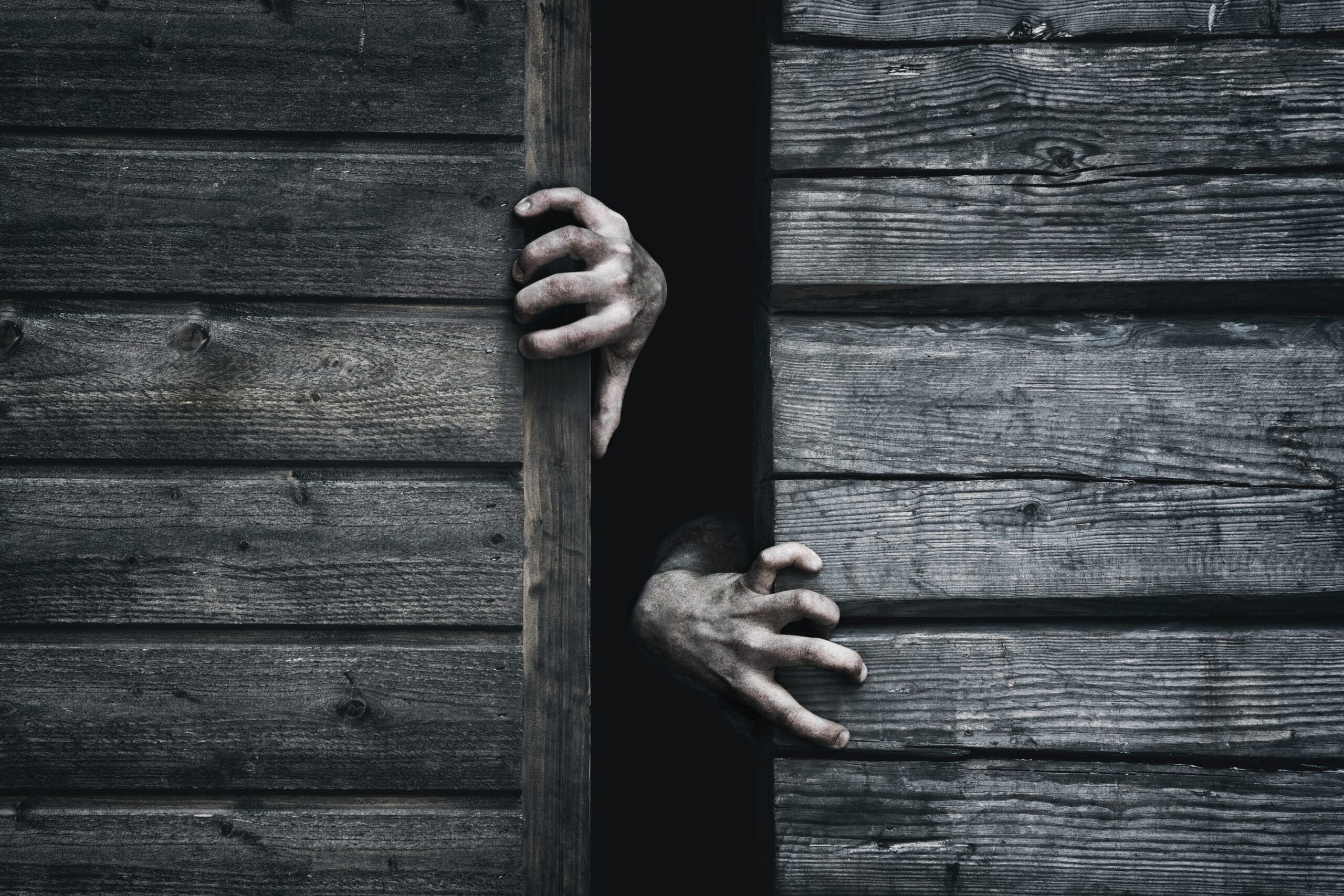 Trail of Terror Off-Roading Event