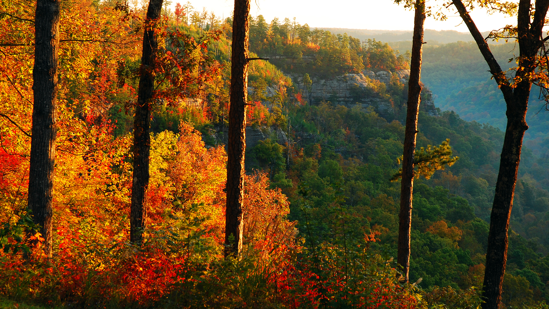 When to see fall leaves in October