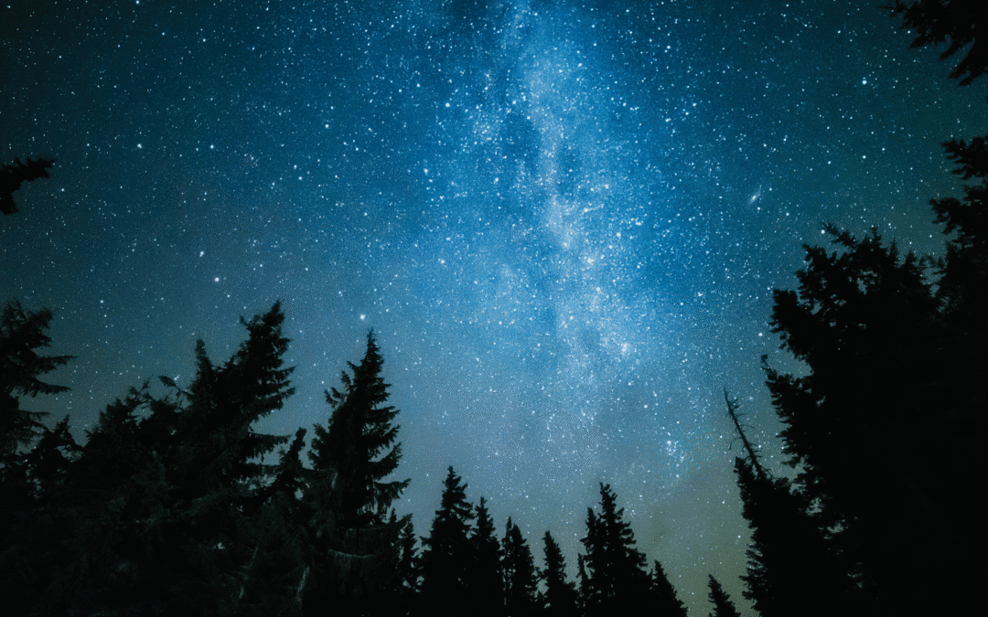 Why November is the Perfect Time for Stargazing in the Red River Gorge