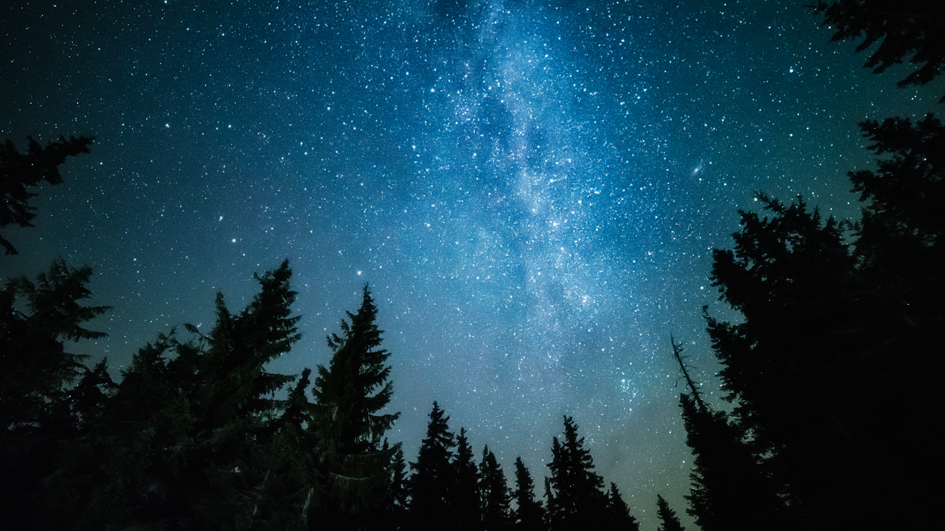 November's perfect look at the night sky