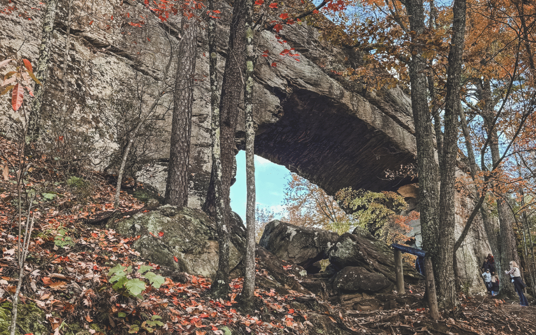 What to Expect on the Trail to the Natural Bridge: Rock Garden and Lower Gap Trails