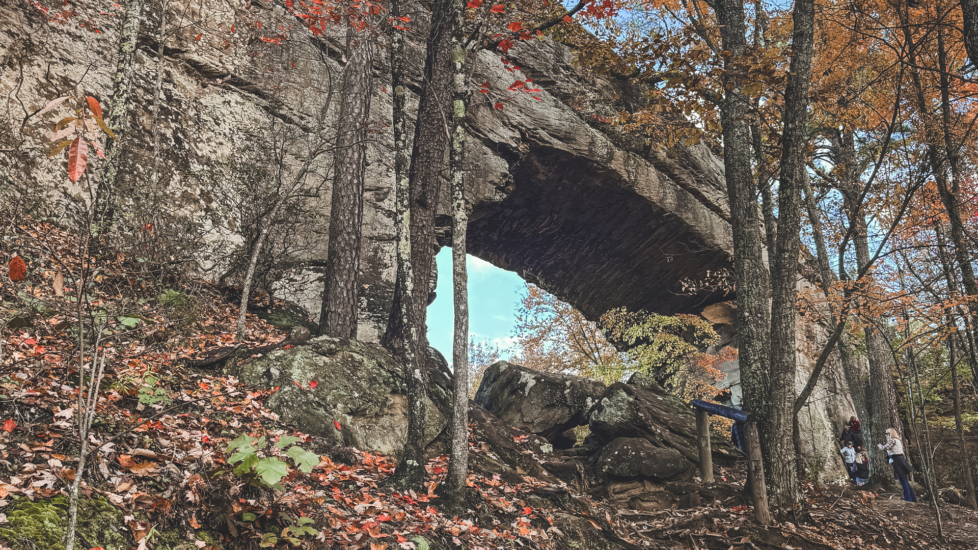 Hiking in the Red River Gorge
