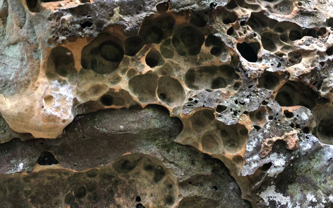 The Science of Sandstone: How Winter Shapes the Red River Gorge