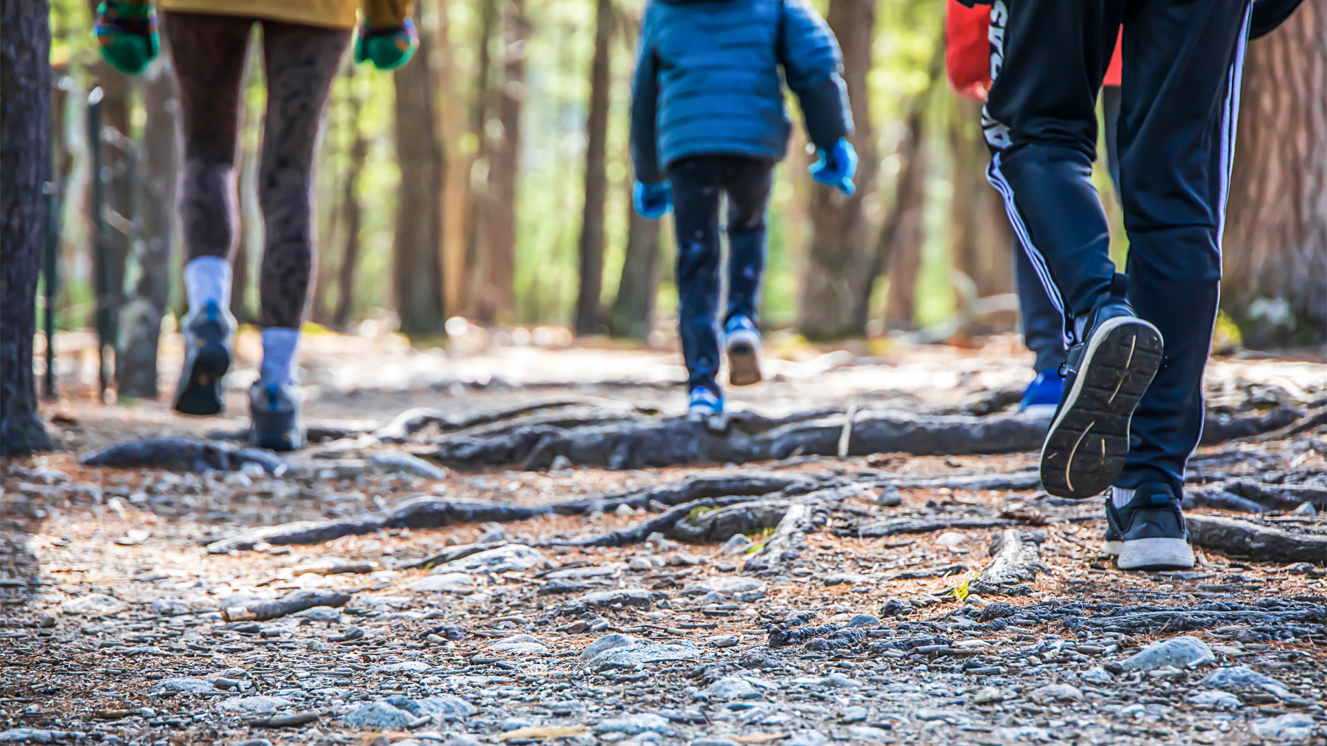 Hikers walking along a rocky forest trail, focusing on their boots and uneven ground.